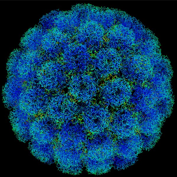 Investor engagement and the Coronavirus: FRC Reporting Lab update