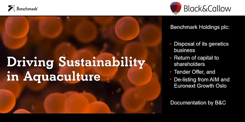 B&C helps Benchmark execute the next phase of its strategy